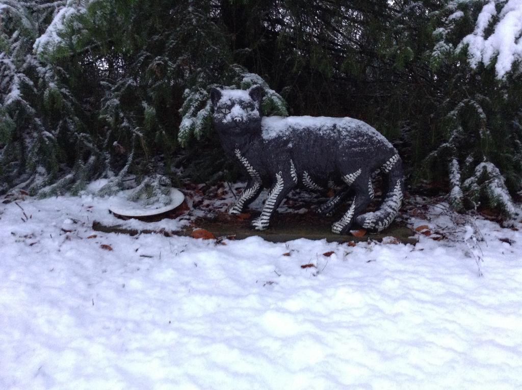 Dower House Newtonmore B&B מראה חיצוני תמונה